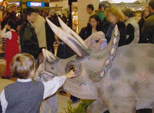 Visitatori intorno al cucciolo di triceratopo